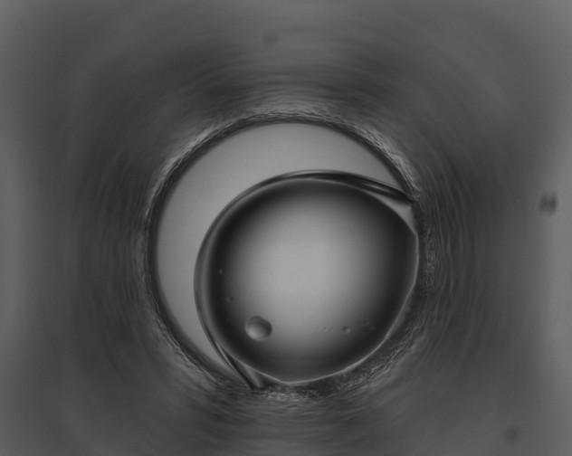 X0000095680399200801151130