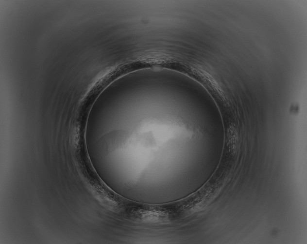 X0000095680400200801151130