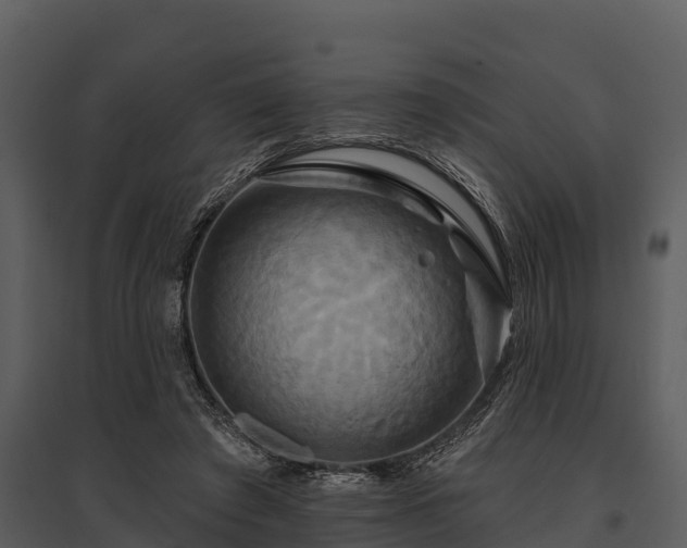 X0000095680401200801151130