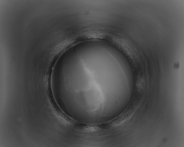X0000095680402200801151130