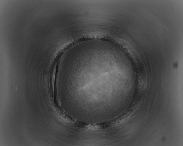 X0000095680403200801151130