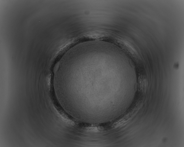 X0000095680404200801151130