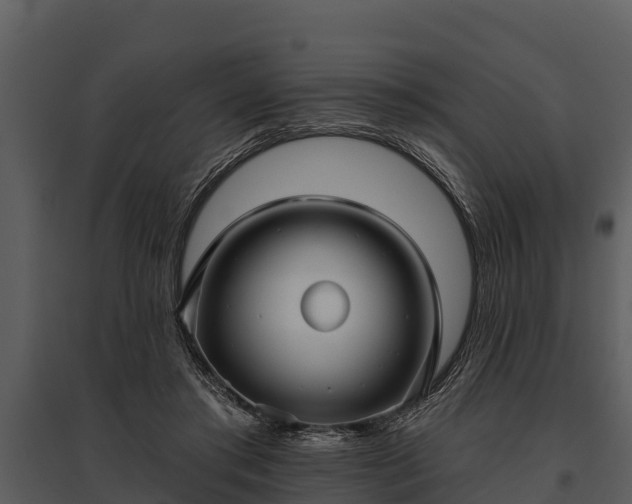 X0000095680405200801151130