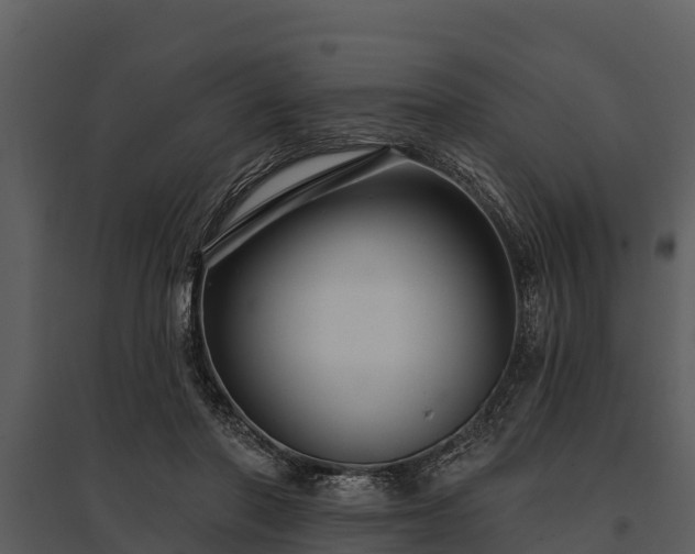 X0000095680406200801151130