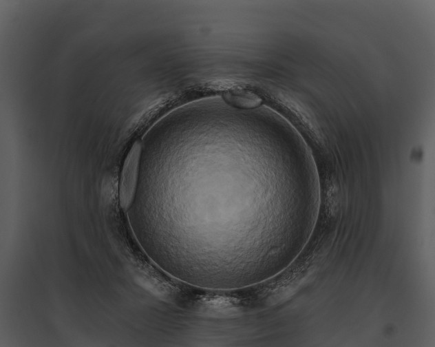 X0000095680407200801151130