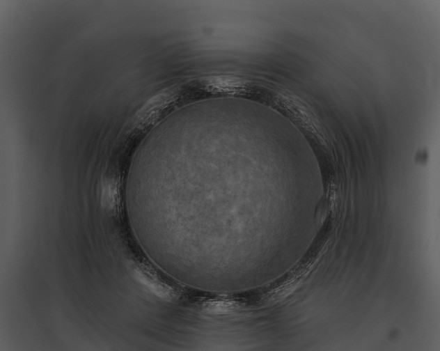 X0000095680408200801151130