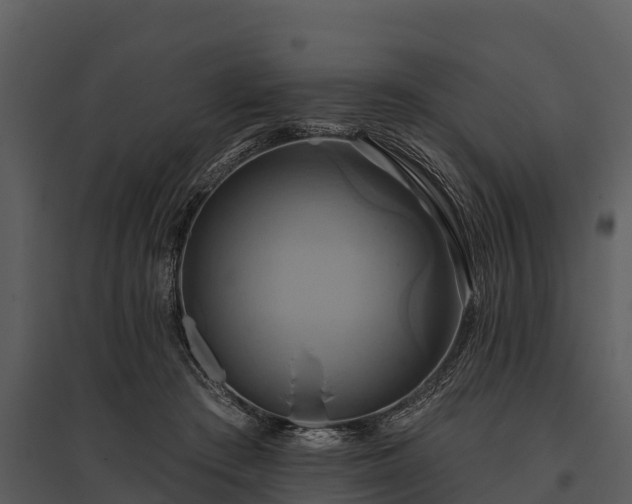 X0000095680409200801151130