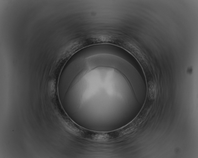 X0000095680410200801151130