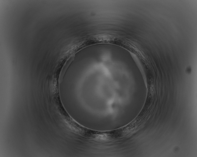 X0000095680411200801151130