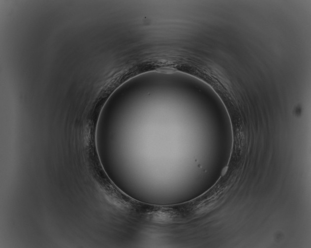 X0000095680412200801151130