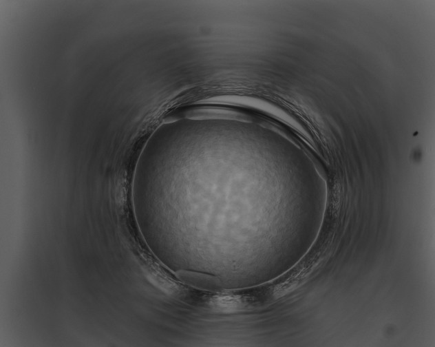 X0000095680413200801151130