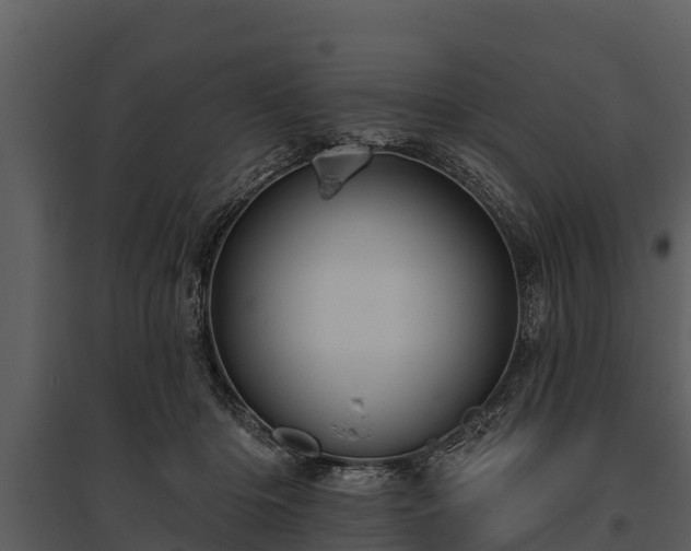 X0000095680414200801151130