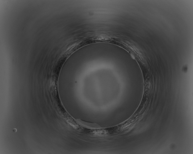 X0000095680415200801151130