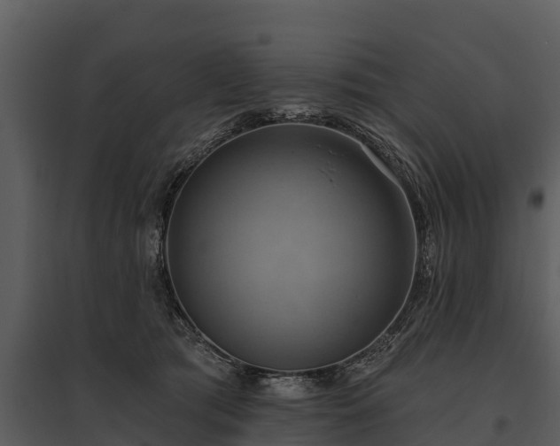 X0000095680417200801151130