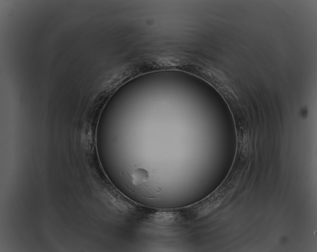 X0000095680418200801151130