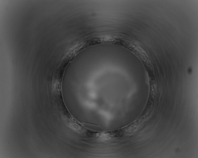 X0000095680419200801151130