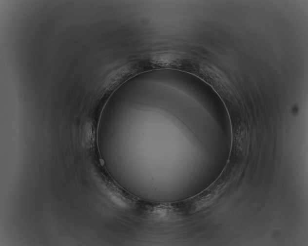 X0000095680420200801151130