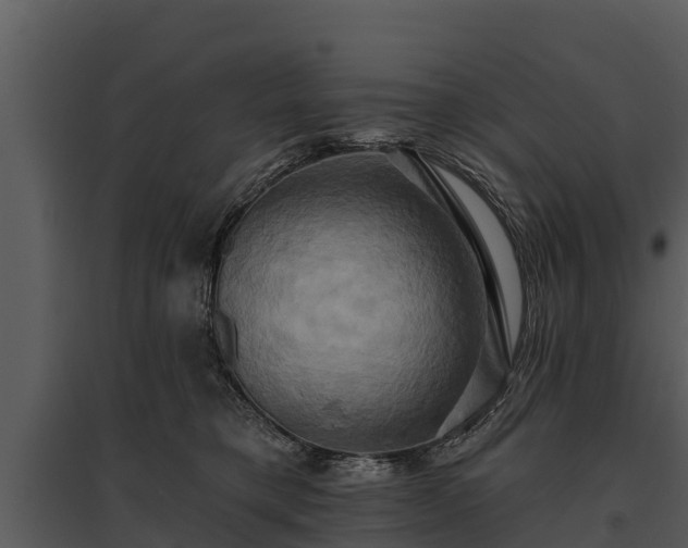 X0000095680421200801151130
