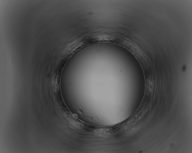 X0000095680422200801151130