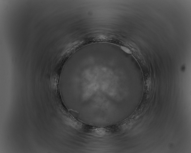 X0000095680423200801151130