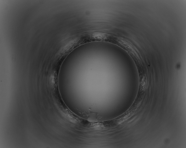 X0000095680424200801151130