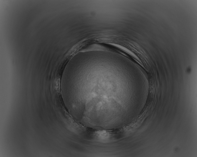 X0000095680425200801151130
