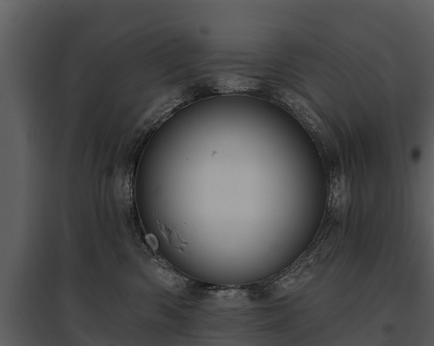 X0000095680426200801151130
