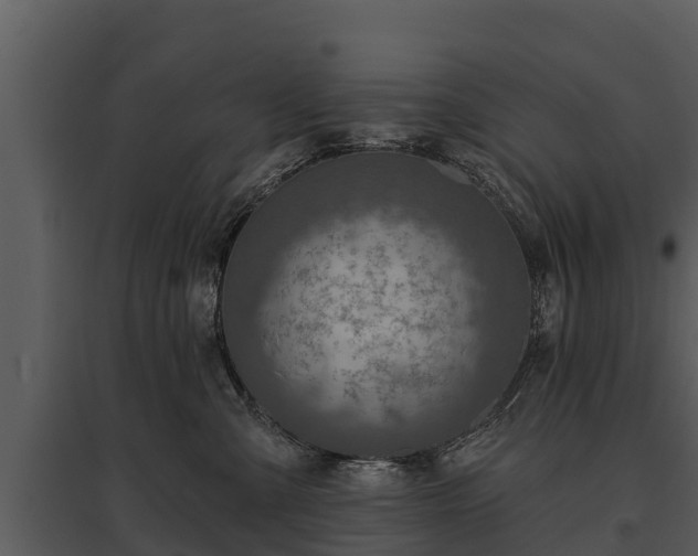 X0000095680427200801151130