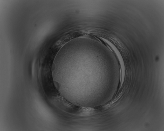 X0000095680429200801151130
