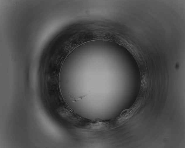 X0000095680430200801151130