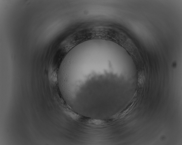 X0000095680431200801151130