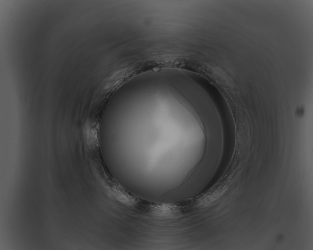 X0000095680432200801151130