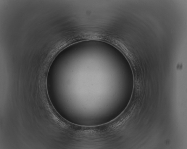 X0000095680433200801151129