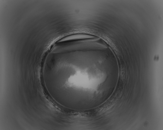 X0000095680434200801151129