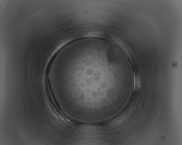 X0000095680435200801151129