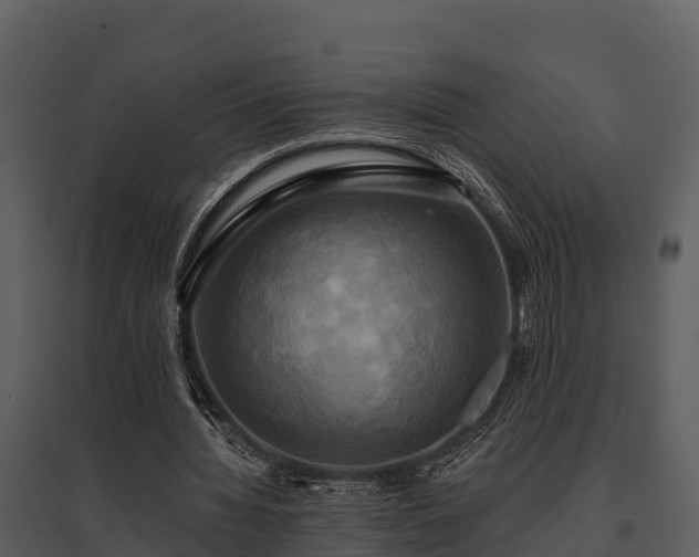 X0000095680436200801151129