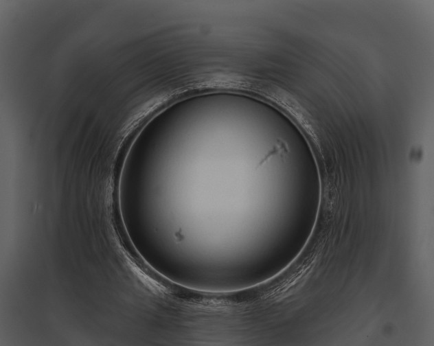 X0000095680437200801151129
