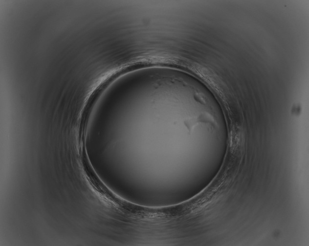 X0000095680438200801151129
