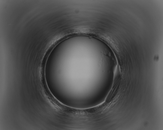 X0000095680439200801151129