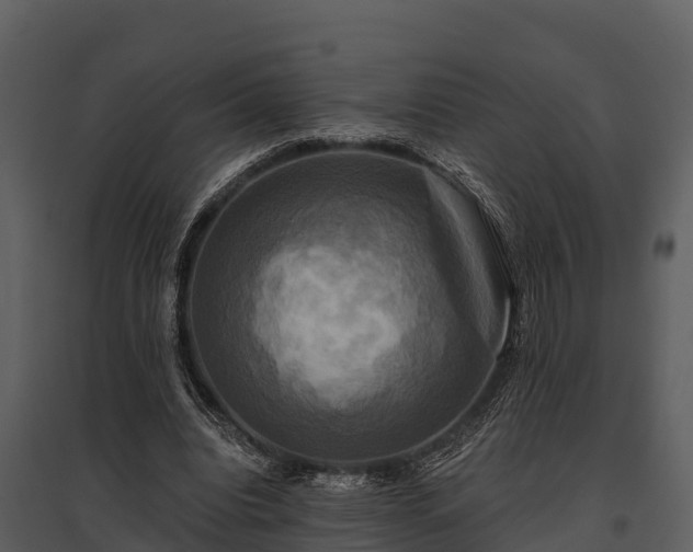 X0000095680440200801151129