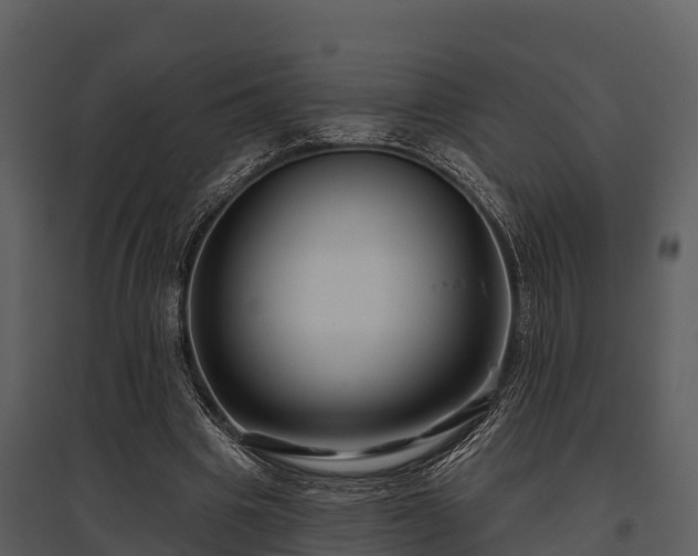 X0000095680441200801151129