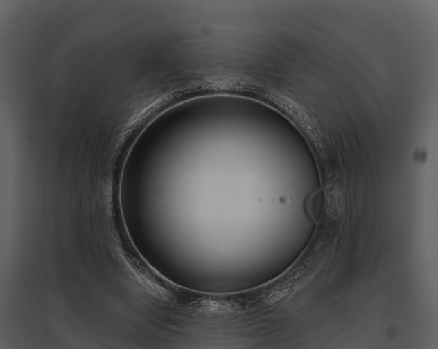 X0000095680442200801151129