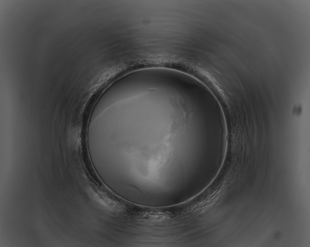 X0000095680443200801151129
