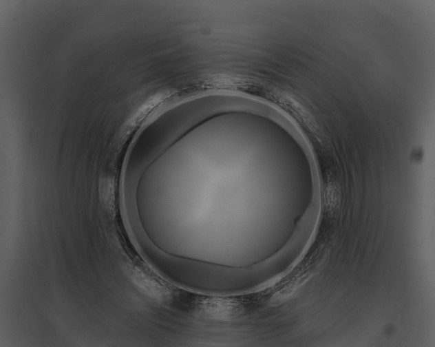 X0000095680444200801151129