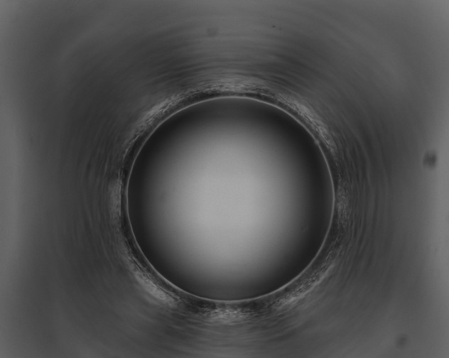 X0000095680445200801151129