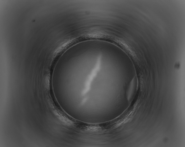 X0000095680446200801151129