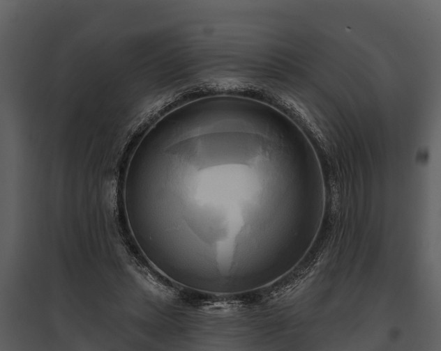 X0000095680447200801151129