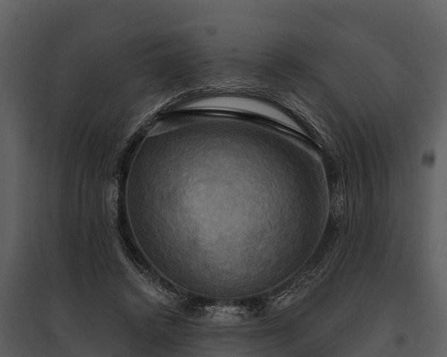 X0000095680448200801151129