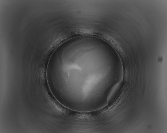 X0000095680449200801151129