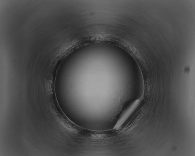 X0000095680450200801151129